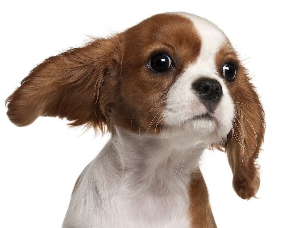 Editorial: July 14, 2023